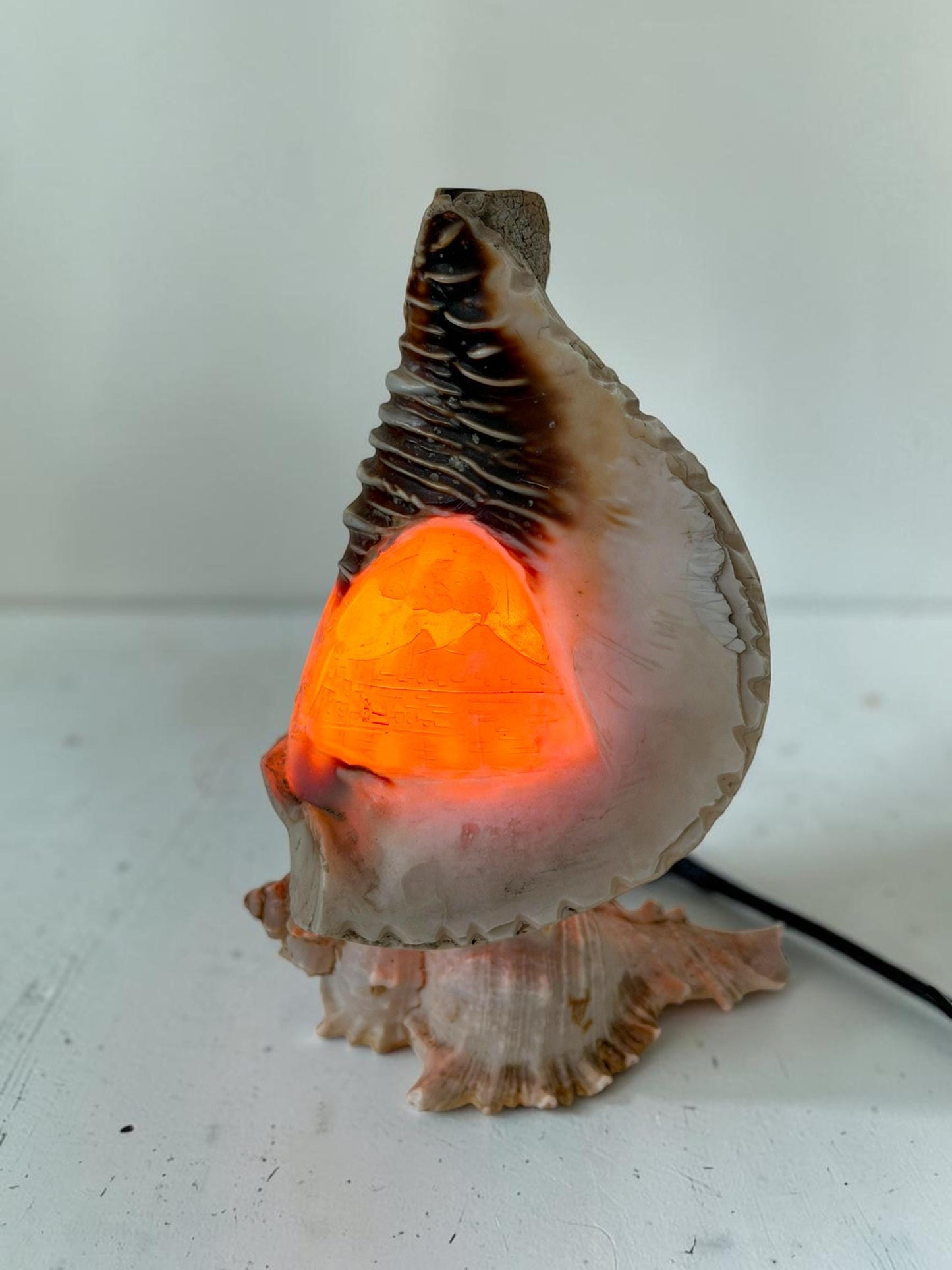 Schelplamp vintage camee lamp gestoken shell lamp