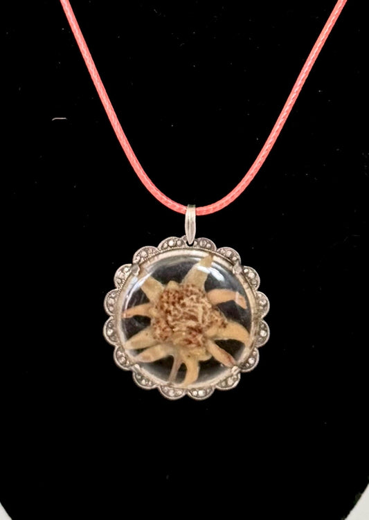Vintage c.1920 - 800 Silver Marcasite Pendant with Hand-Picked Edelweiss – Alpine Souvenir Necklace - sound of music grand tour