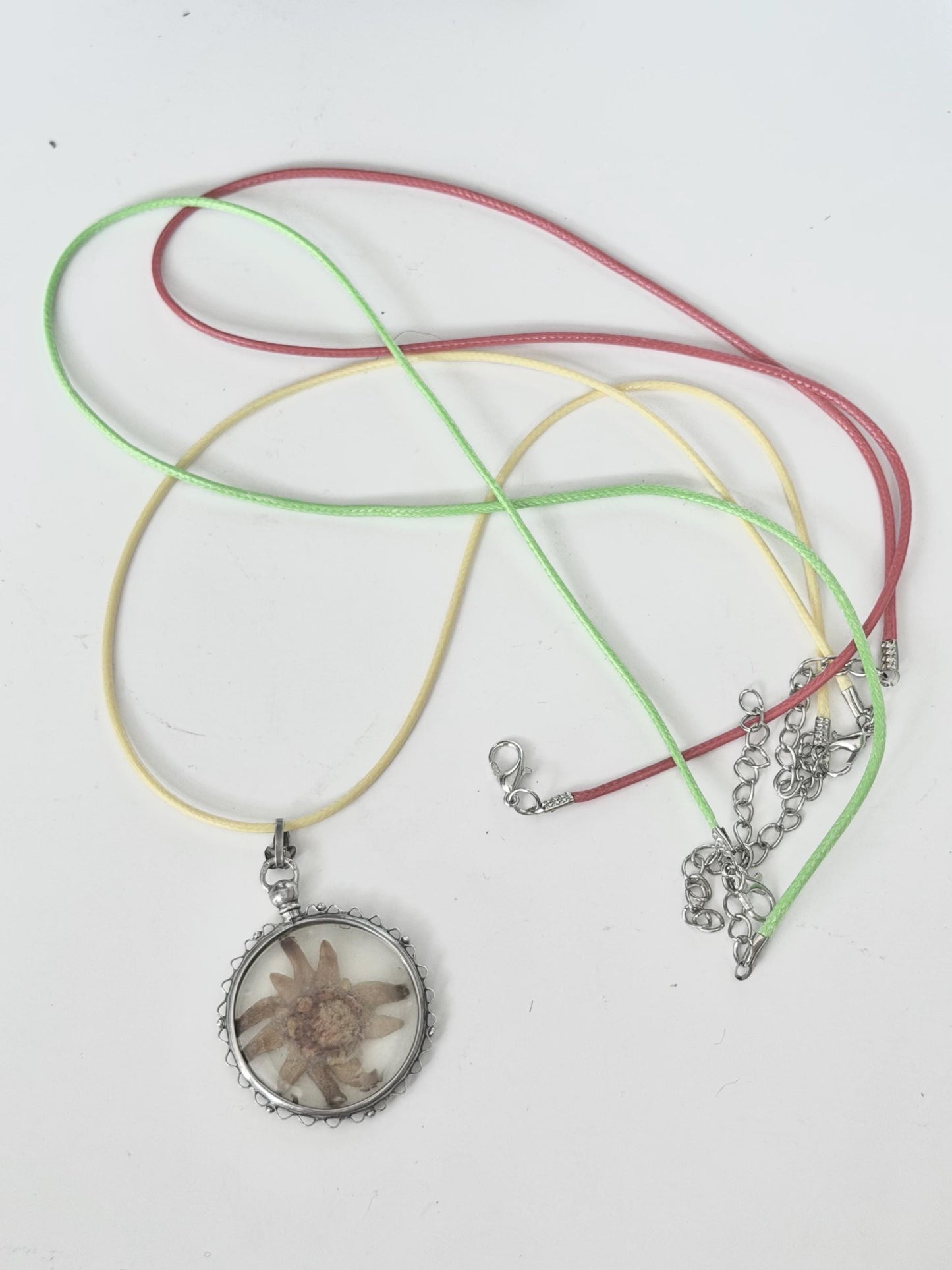 Vintage c.1920 - 800 Silver Pendant with Hand-Picked Edelweiss – Alpine Souvenir Necklace - sound of music grand tour
