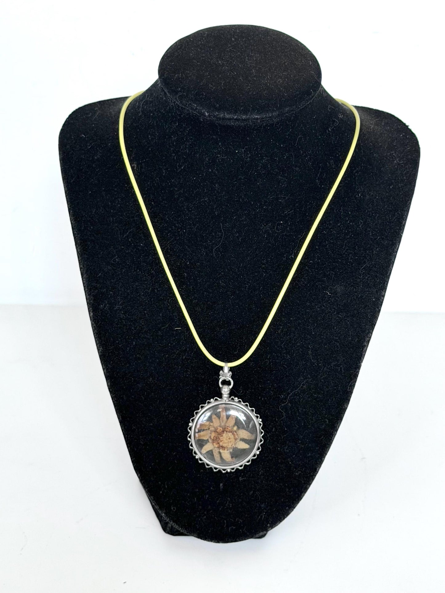 Vintage c.1920 - 800 Silver Pendant with Hand-Picked Edelweiss – Alpine Souvenir Necklace - sound of music grand tour