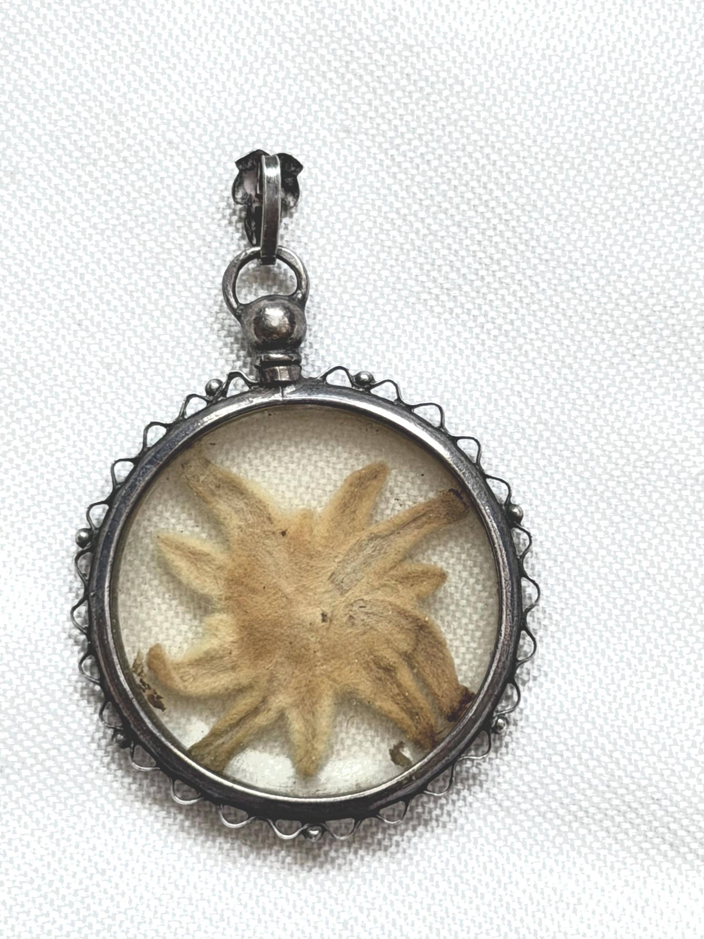Vintage c.1920 - 800 Silver Pendant with Hand-Picked Edelweiss – Alpine Souvenir Necklace - sound of music grand tour