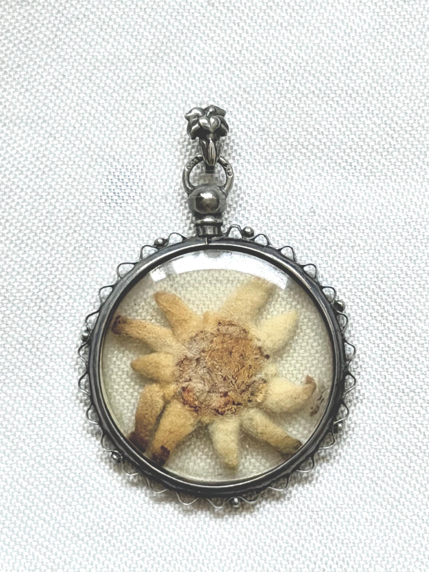 Vintage c.1920 - 800 Silver Pendant with Hand-Picked Edelweiss – Alpine Souvenir Necklace - sound of music grand tour