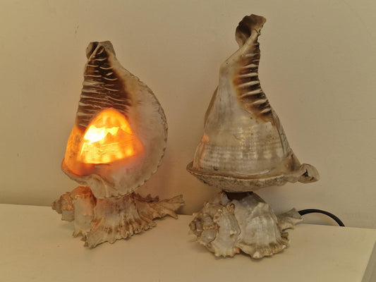 1 Schelplamp vintage camee lamp gestoken shell lamp, 2 available