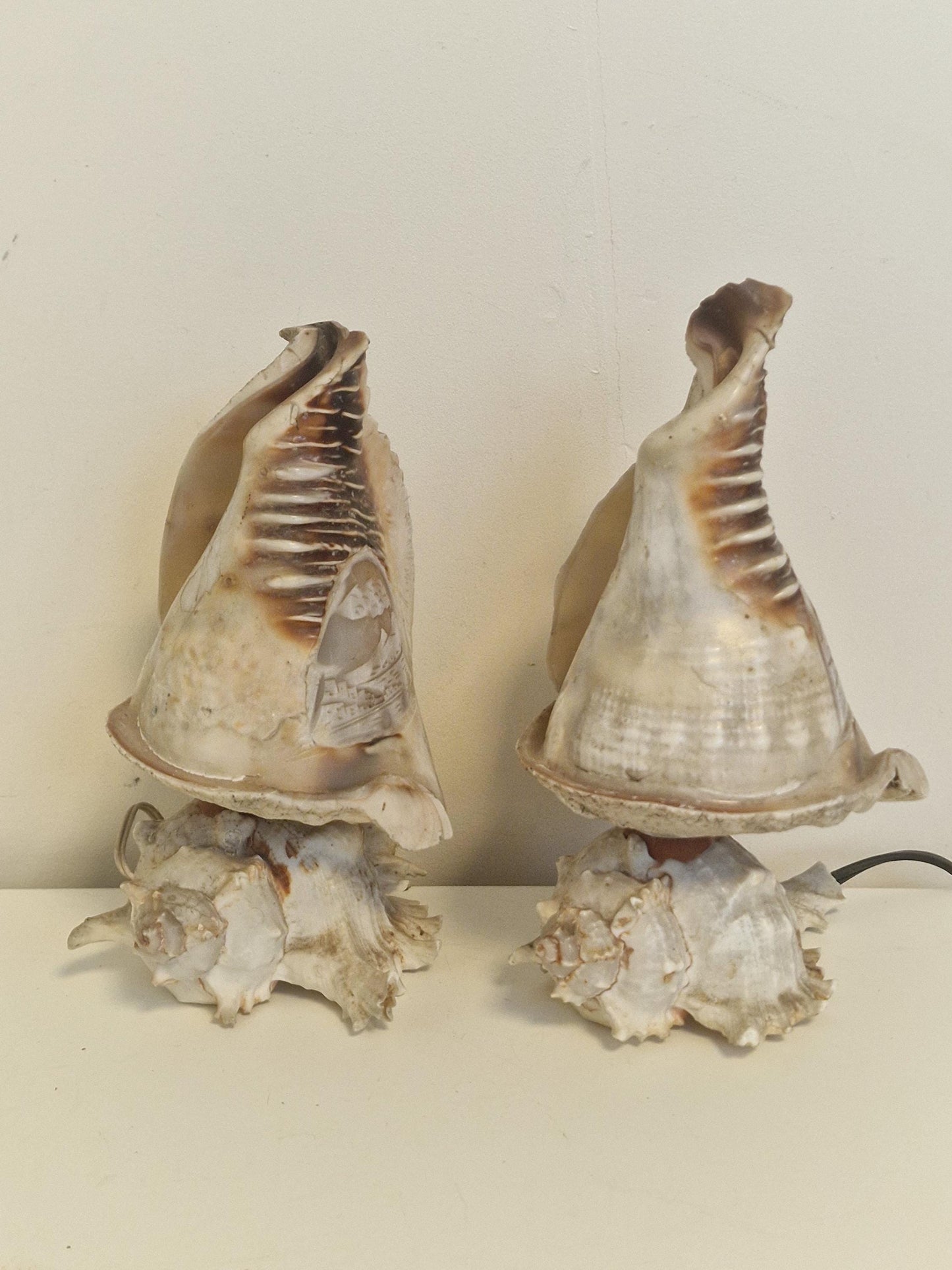 1 Schelplamp vintage camee lamp gestoken shell lamp, 2 available