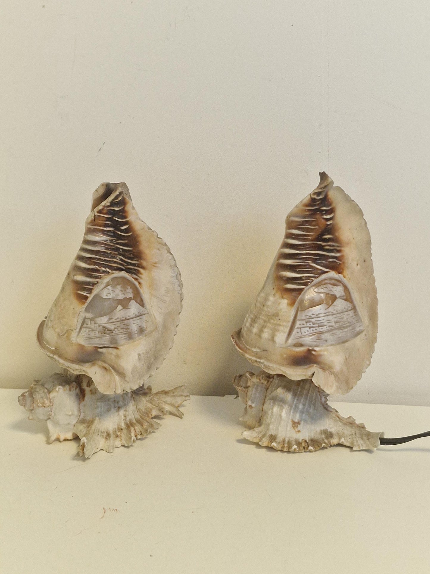 1 Schelplamp vintage camee lamp gestoken shell lamp, 2 available