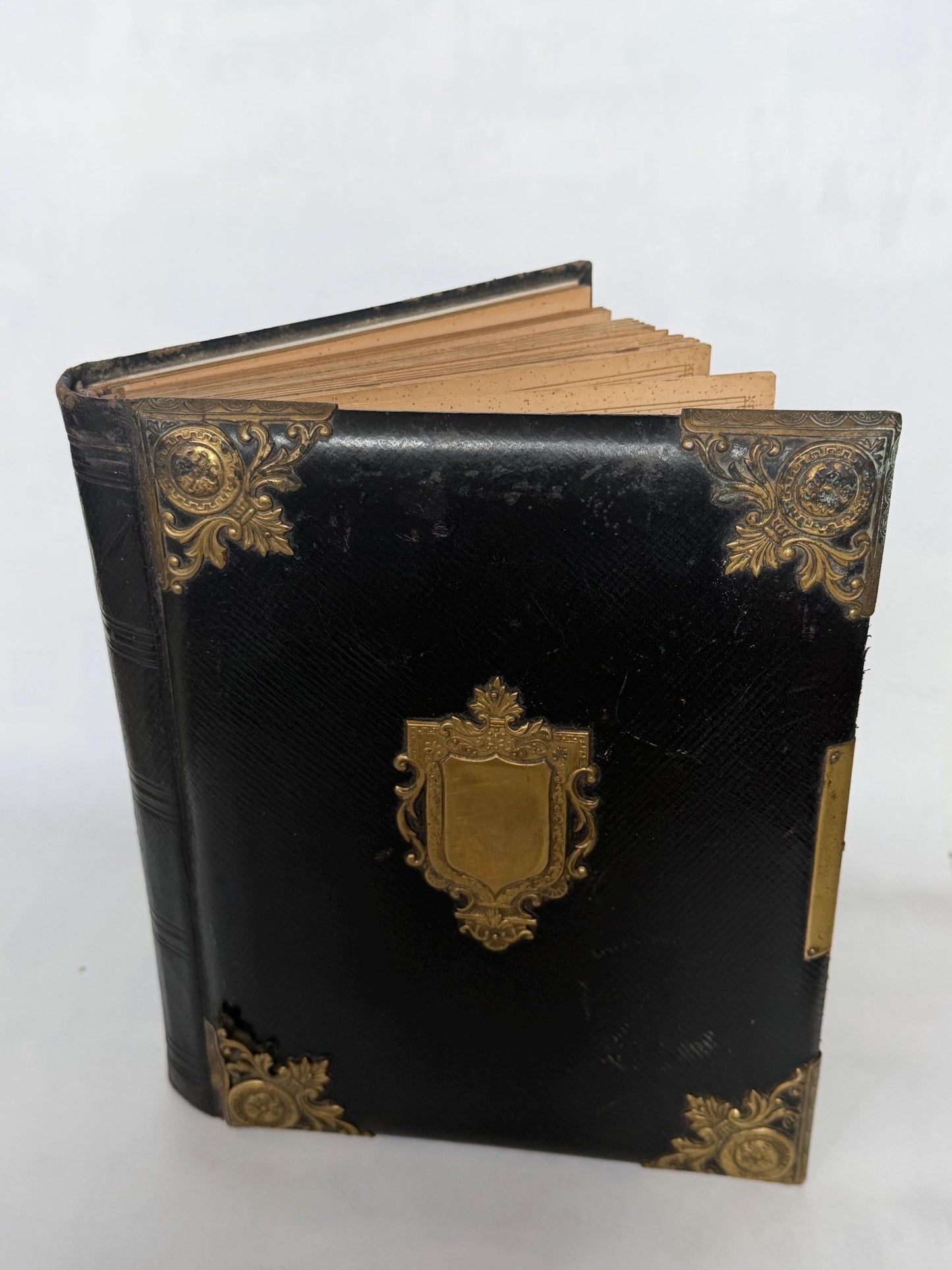 Victorian xl Photo Album, Ornate gold metal Mounts, 19th century. 28 cm.