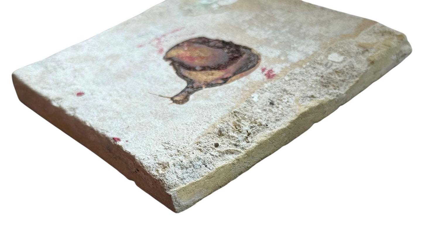 Antique Dutch Tile, Polychrome Tulip with large oxhead corner, fine collectable, Holland, 1625