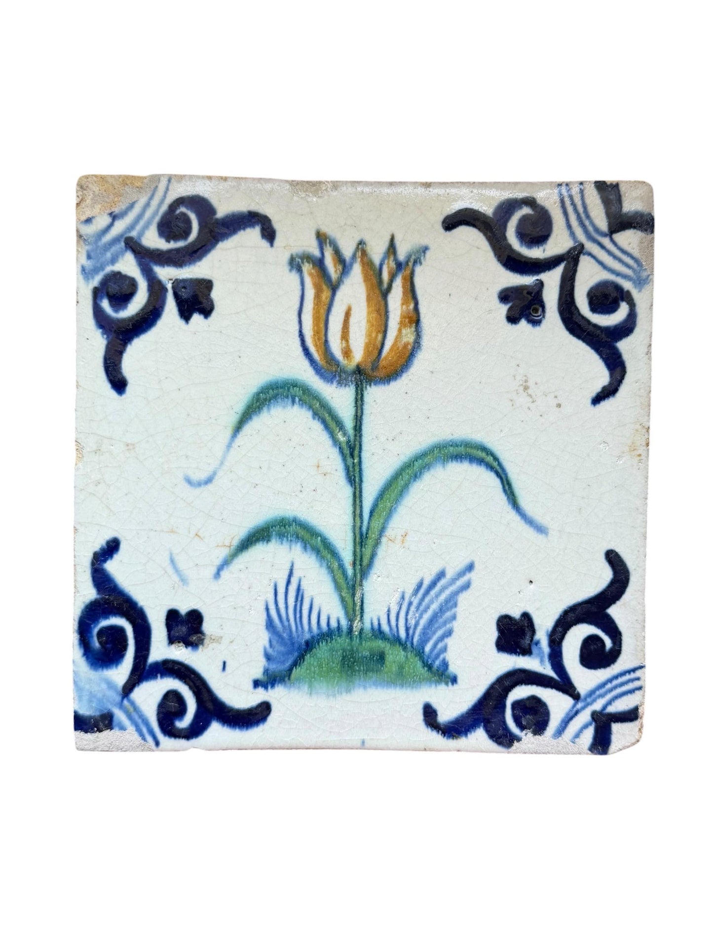 Antique Dutch Tile, Polychrome Tulip with large oxhead corner, fine collectable, Holland, 1625