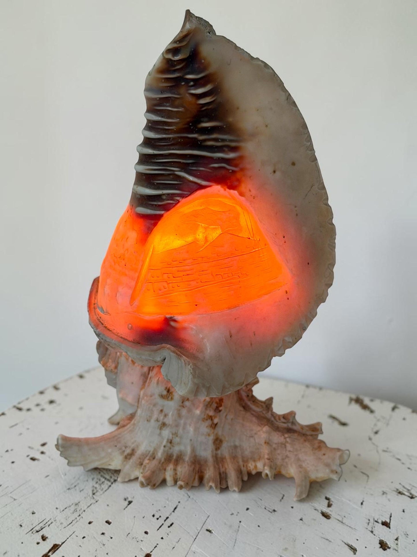 1 Schelplamp vintage camee lamp gestoken shell lamp, 2 available