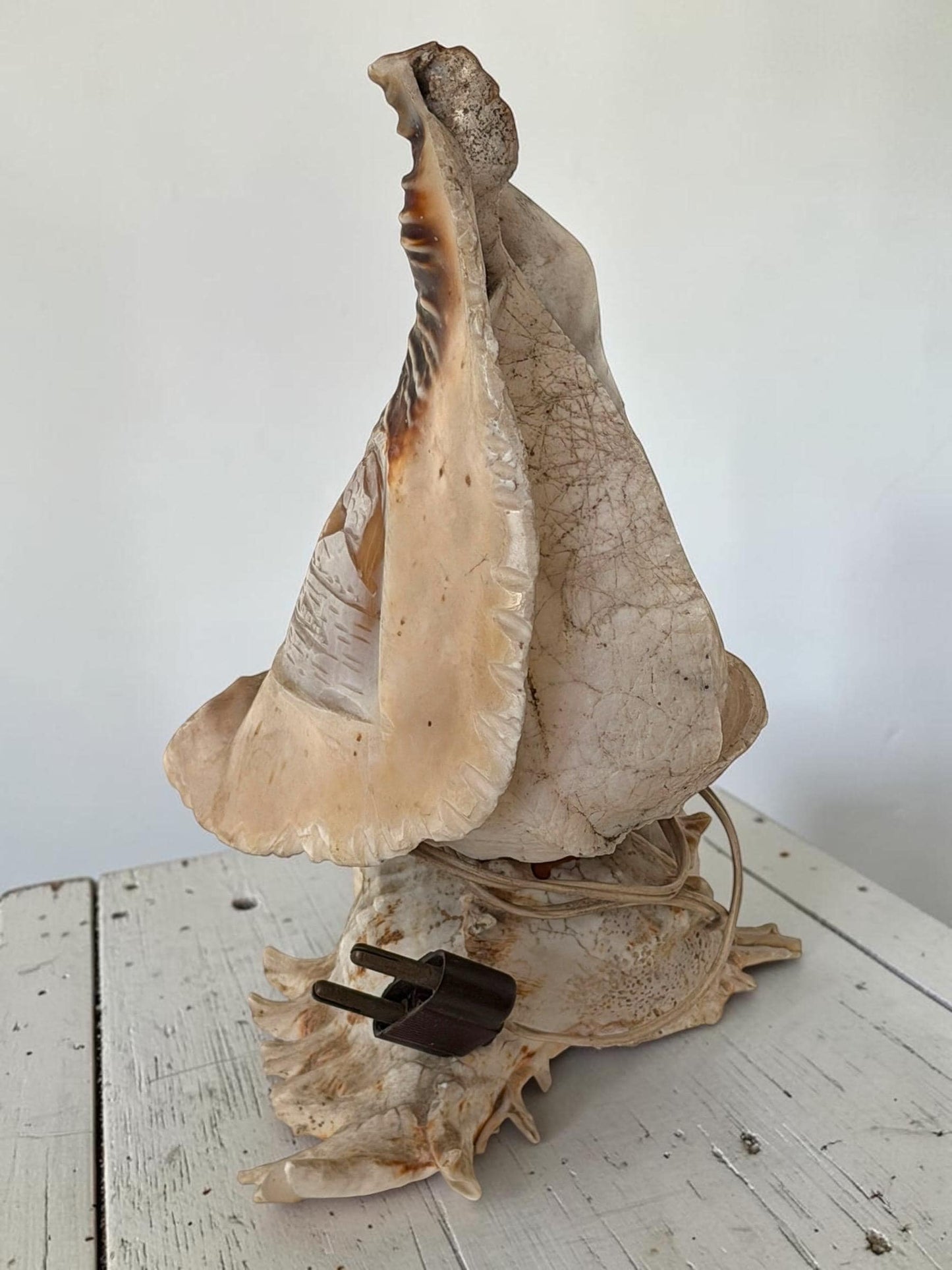 1 Schelplamp vintage camee lamp gestoken shell lamp, 2 available