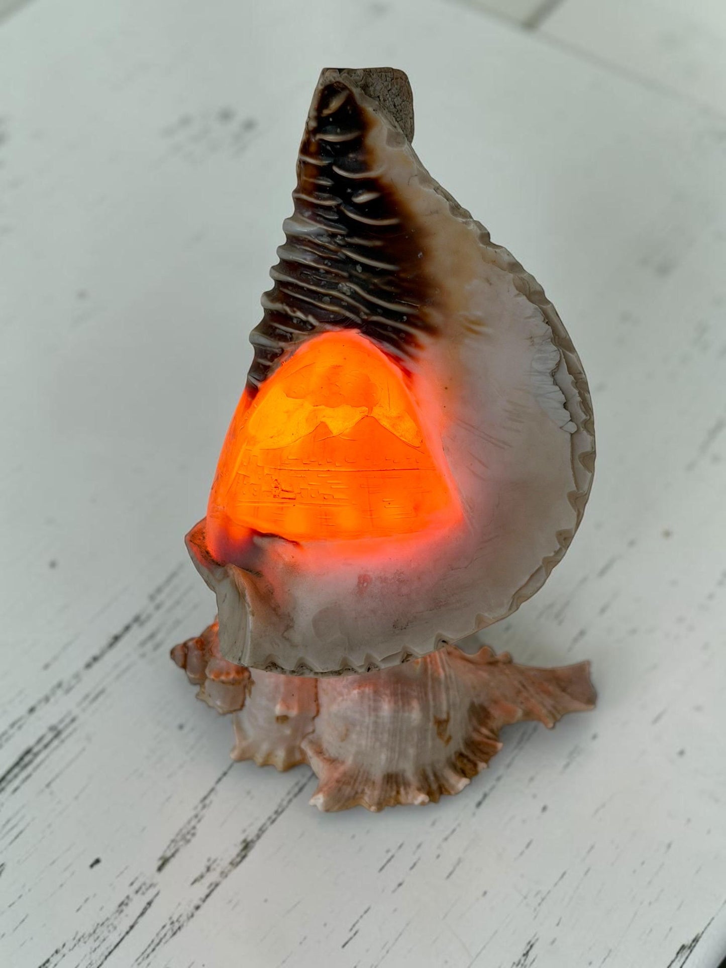 Schelplamp vintage camee lamp gestoken shell lamp