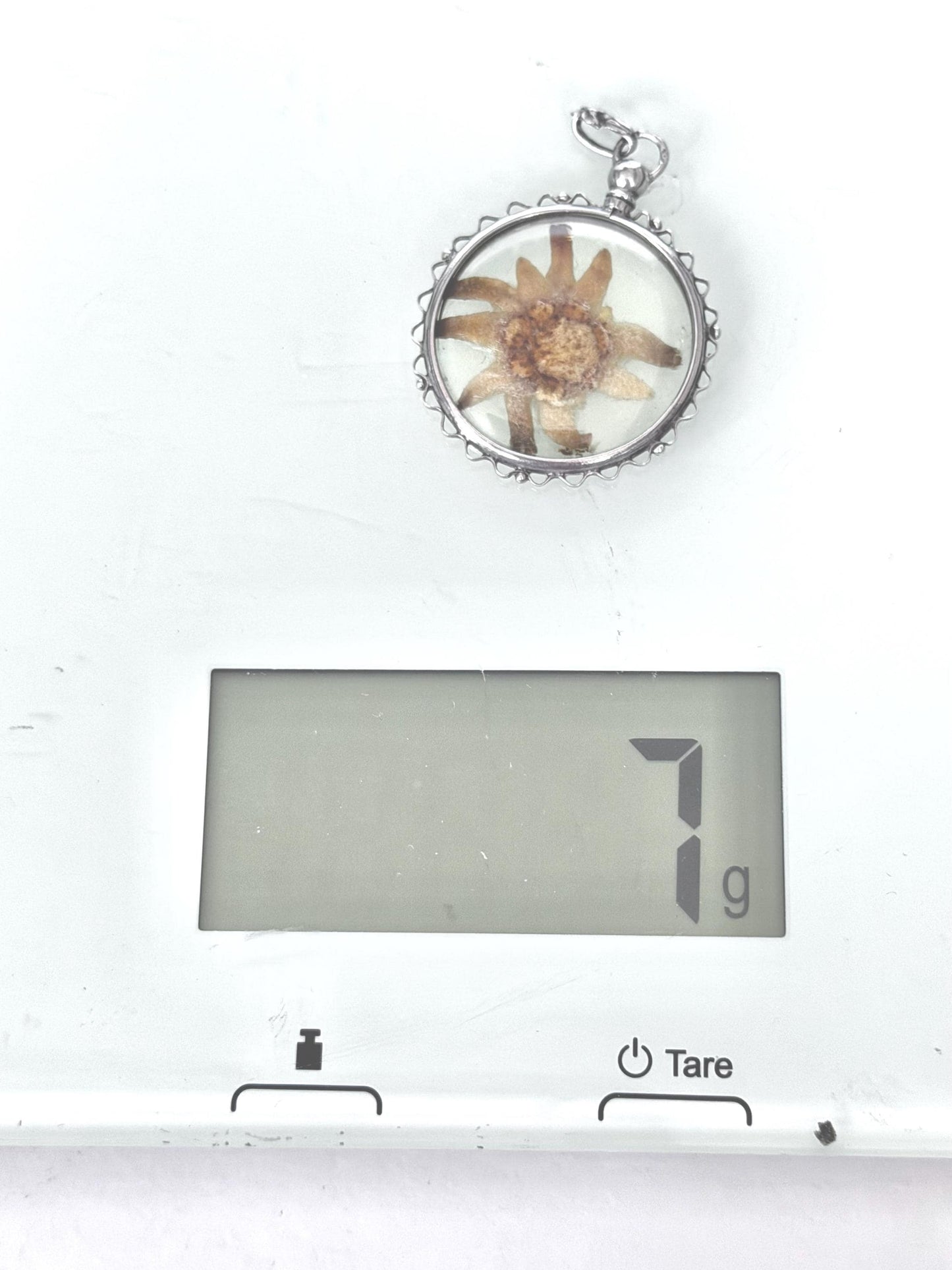 Vintage c.1920 - 800 Silver Pendant with Hand-Picked Edelweiss – Alpine Souvenir Necklace - sound of music grand tour