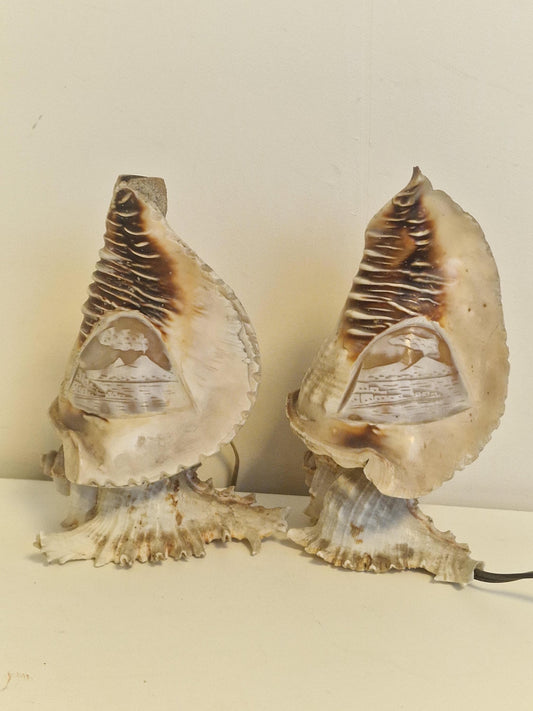 1 Schelplamp vintage camee lamp gestoken shell lamp, 2 available