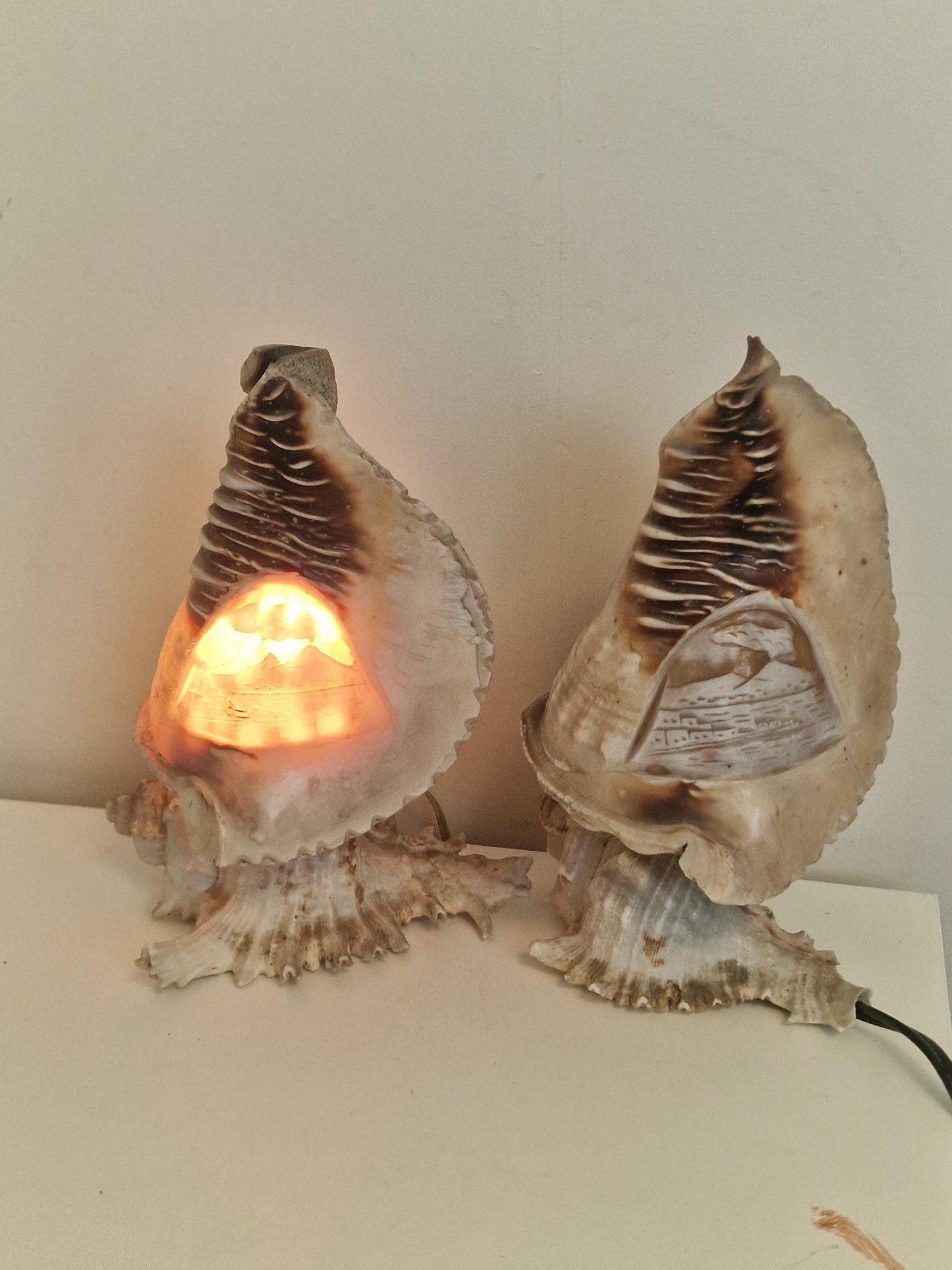 1 Schelplamp vintage camee lamp gestoken shell lamp, 2 available