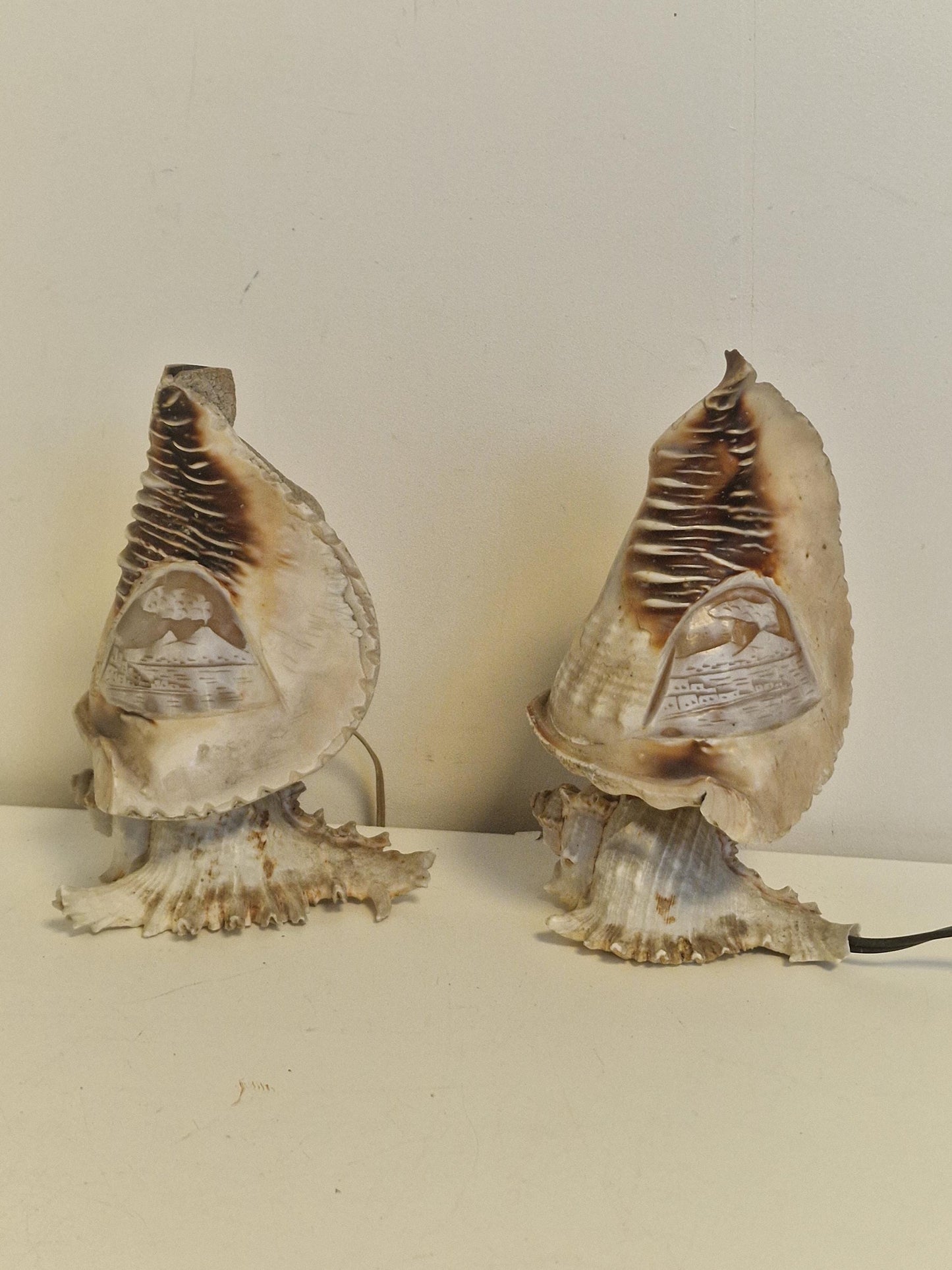 1 Schelplamp vintage camee lamp gestoken shell lamp, 2 available