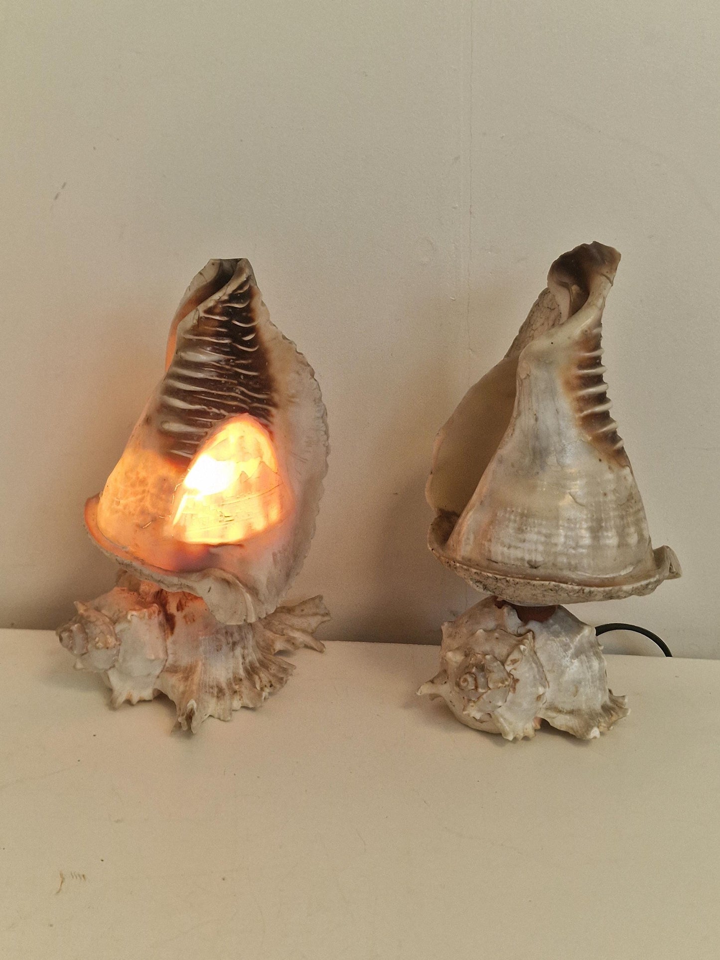 1 Schelplamp vintage camee lamp gestoken shell lamp, 2 available