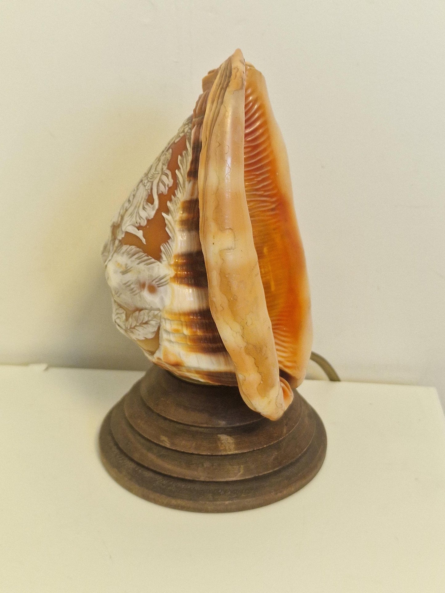 Schelplamp vintage camee lamp gestoken shell lamp de 3 gratien graces