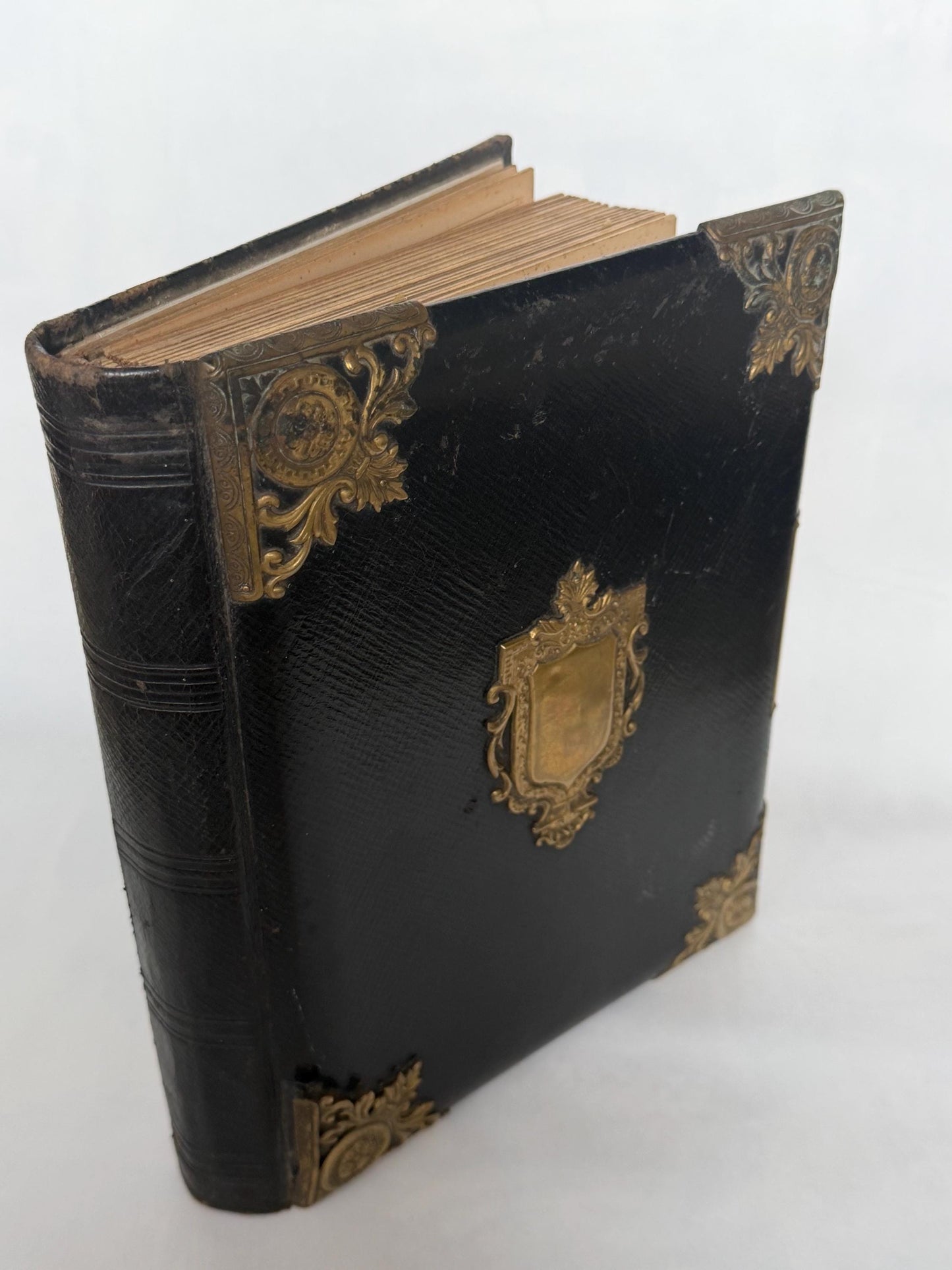 Victorian xl Photo Album, Ornate gold metal Mounts, 19th century. 28 cm.