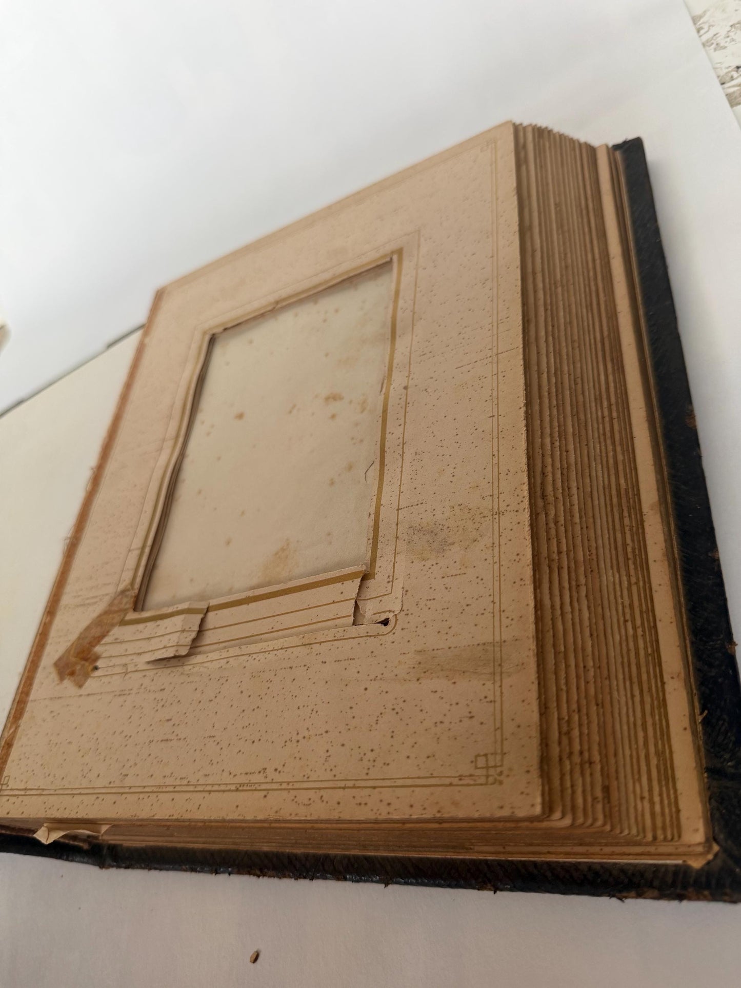 Victorian xl Photo Album, Ornate gold metal Mounts, 19th century. 28 cm.