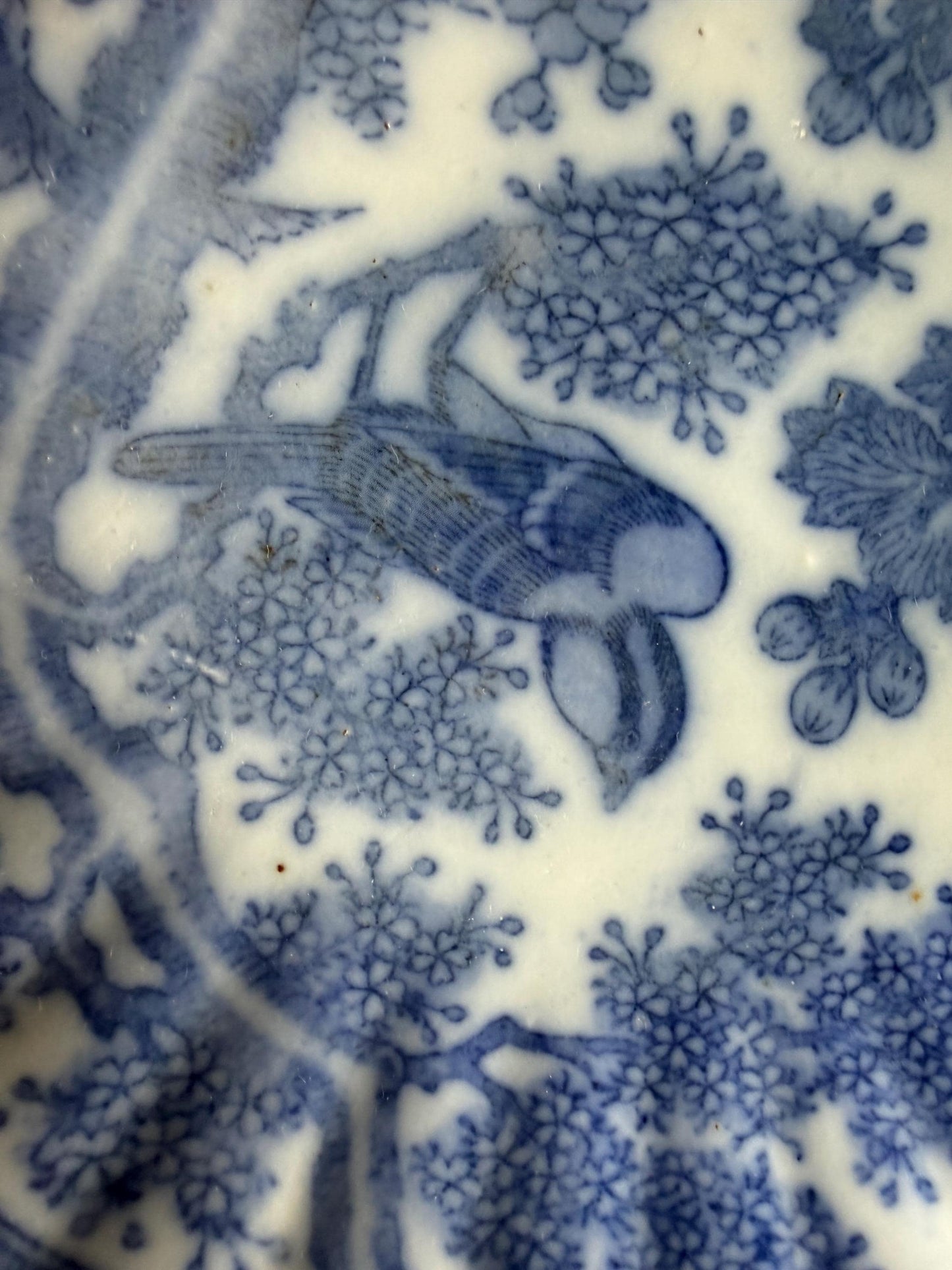 19th Century Blue and White set Plates – I V. Minden – Landscape Scene plus second japanese meiji plate with bird