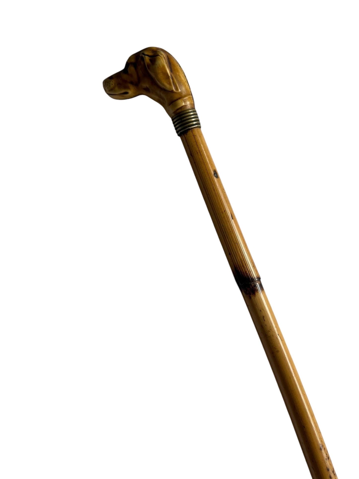 antique walking cane stick with dog , european collection, gentlemen's flannel stick.