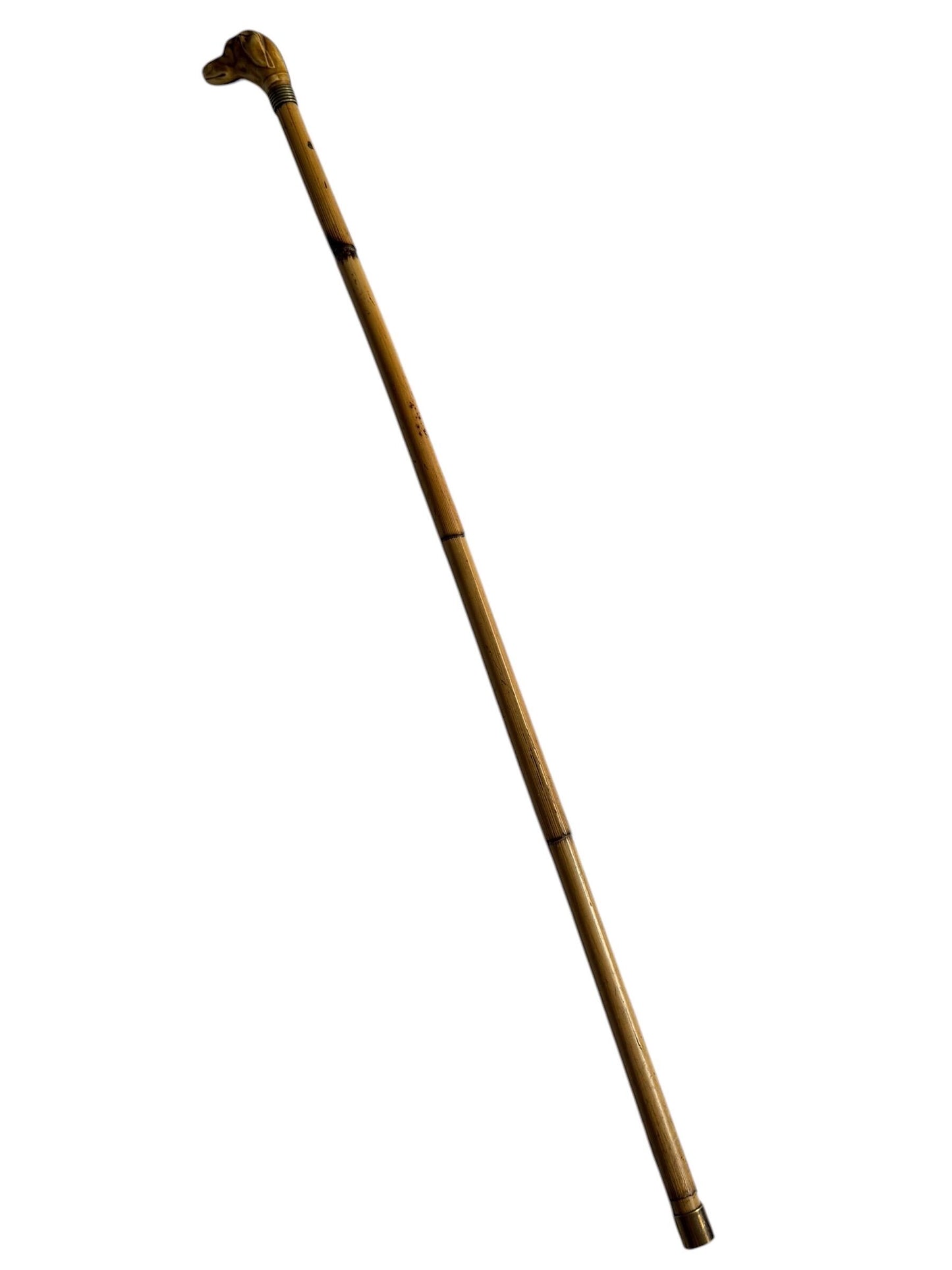 antique walking cane stick with dog , european collection, gentlemen's flannel stick.