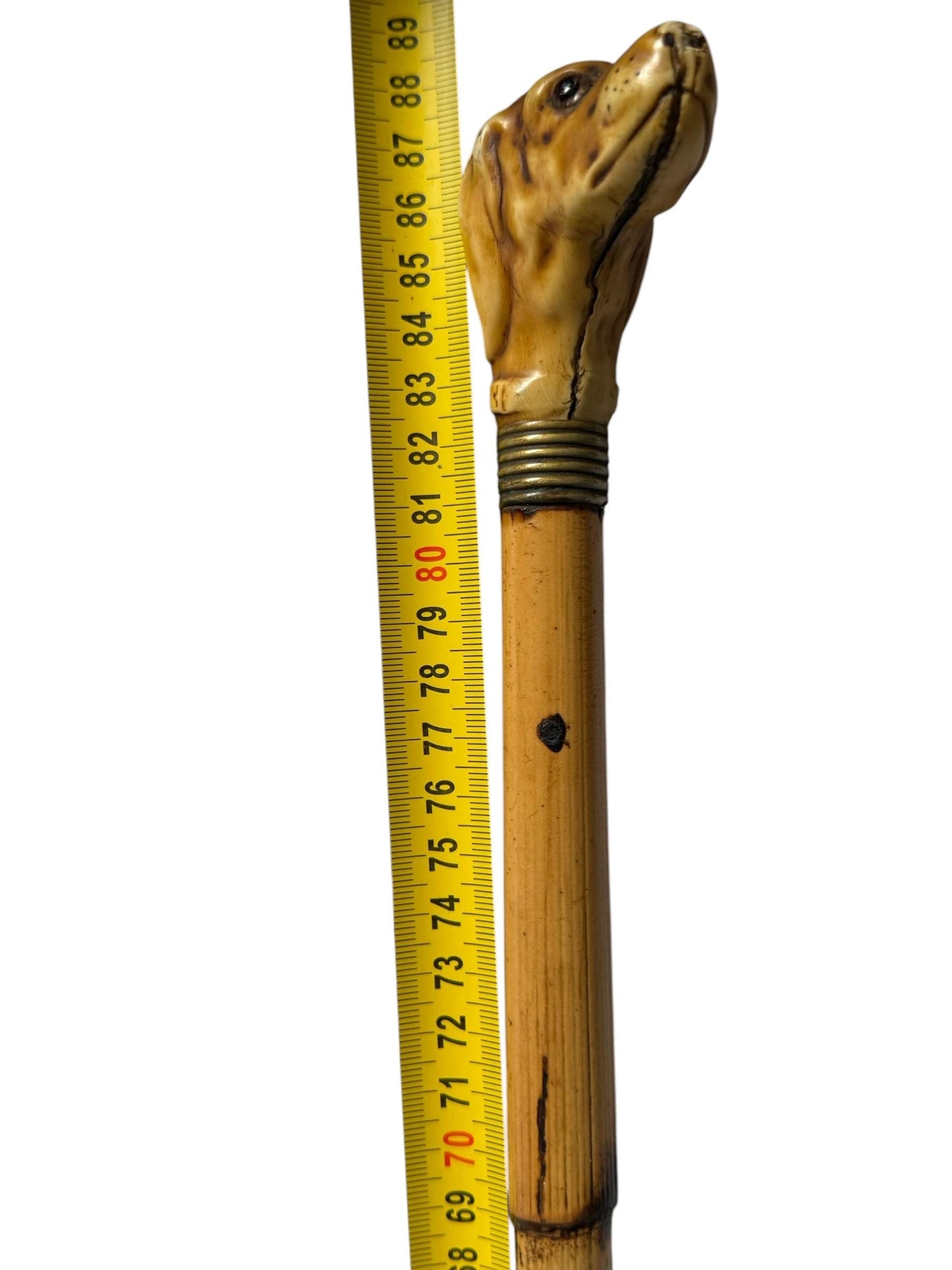 antique walking cane stick with dog , european collection, gentlemen's flannel stick.