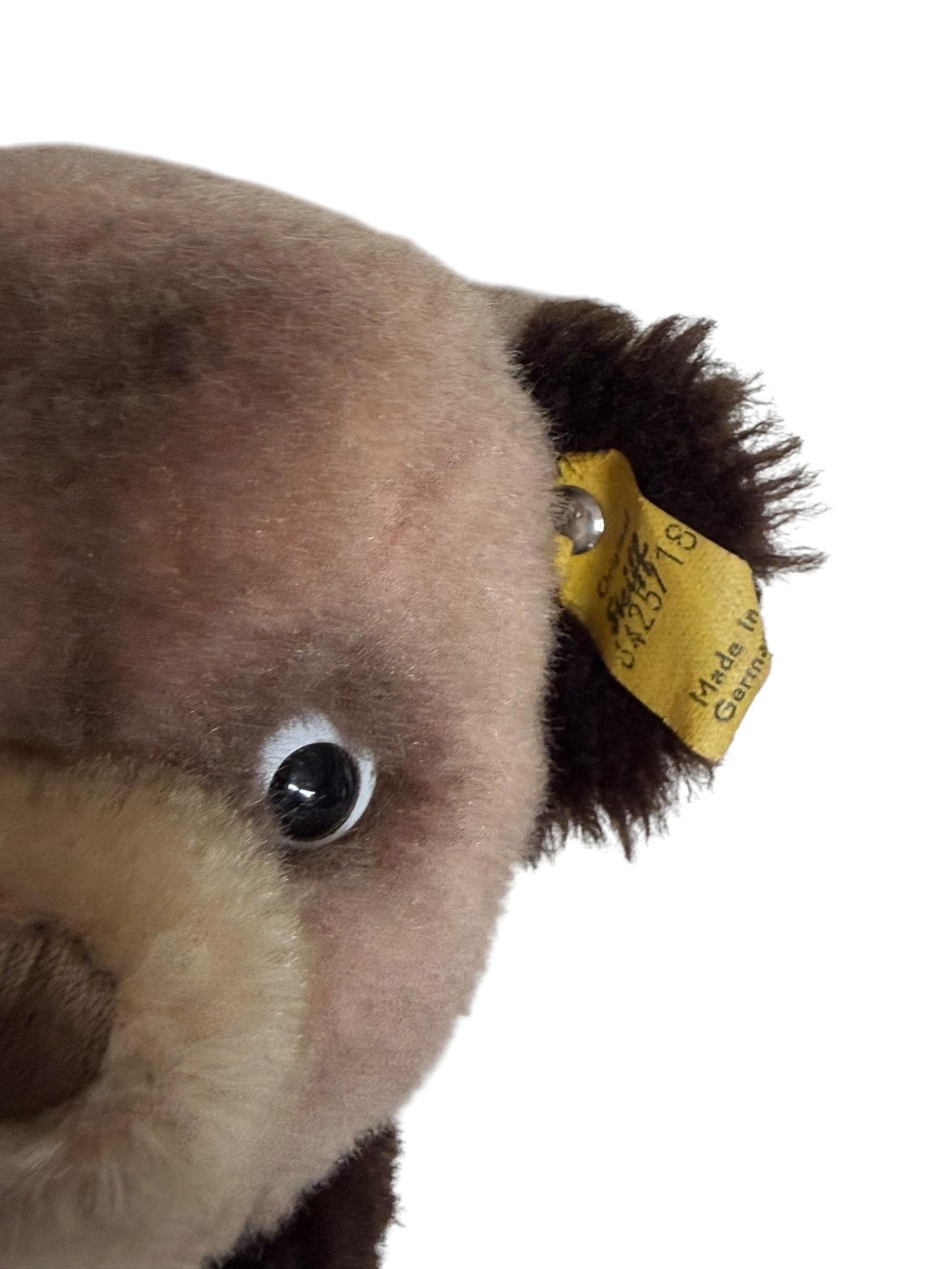 Steiff bear vintage, tapsy, old  beestje met label toy nr 6013.00 baby