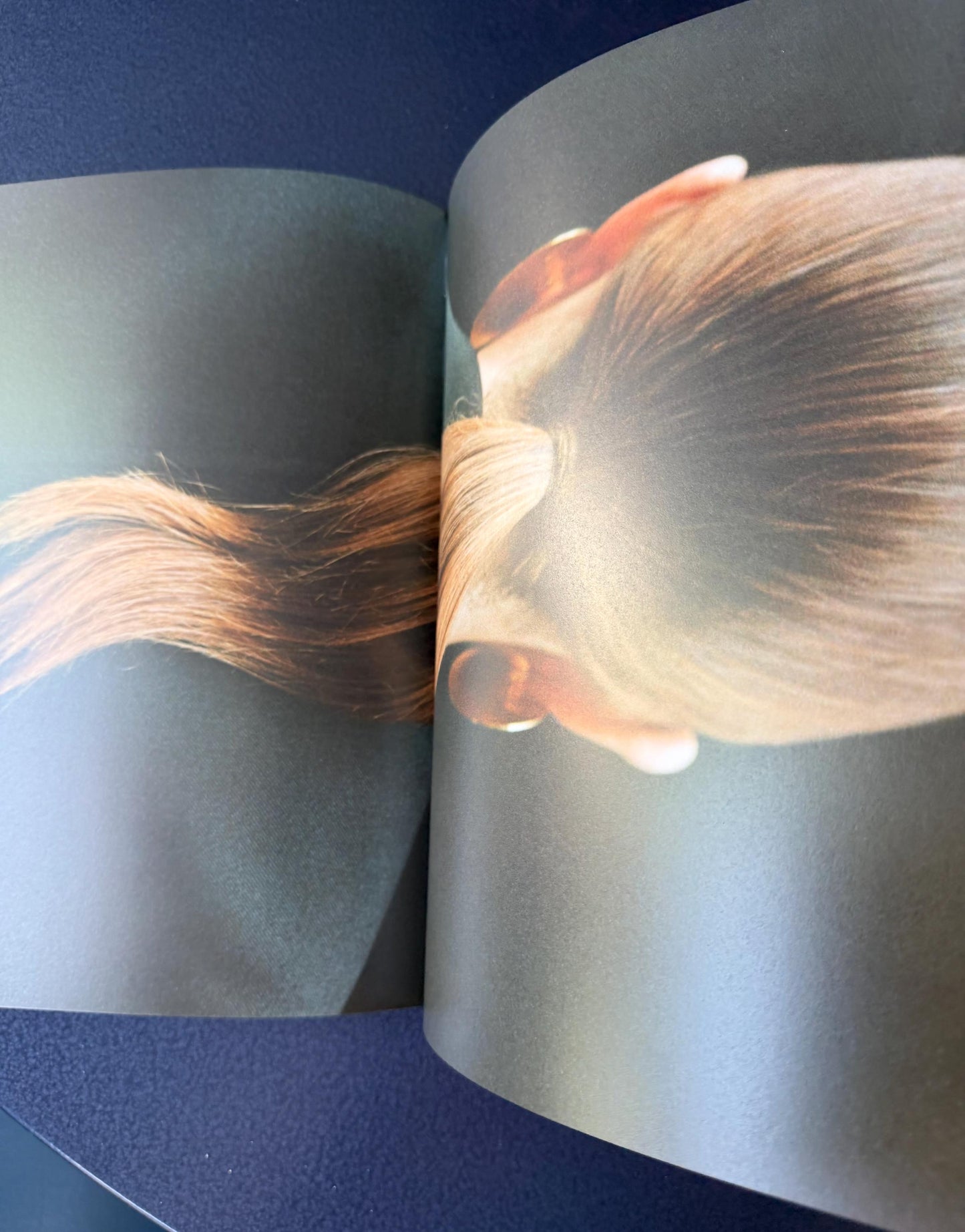Jil Sander Paris by Chris Rhodes, Sealed linen Fashion Photography  collectible coffee table book