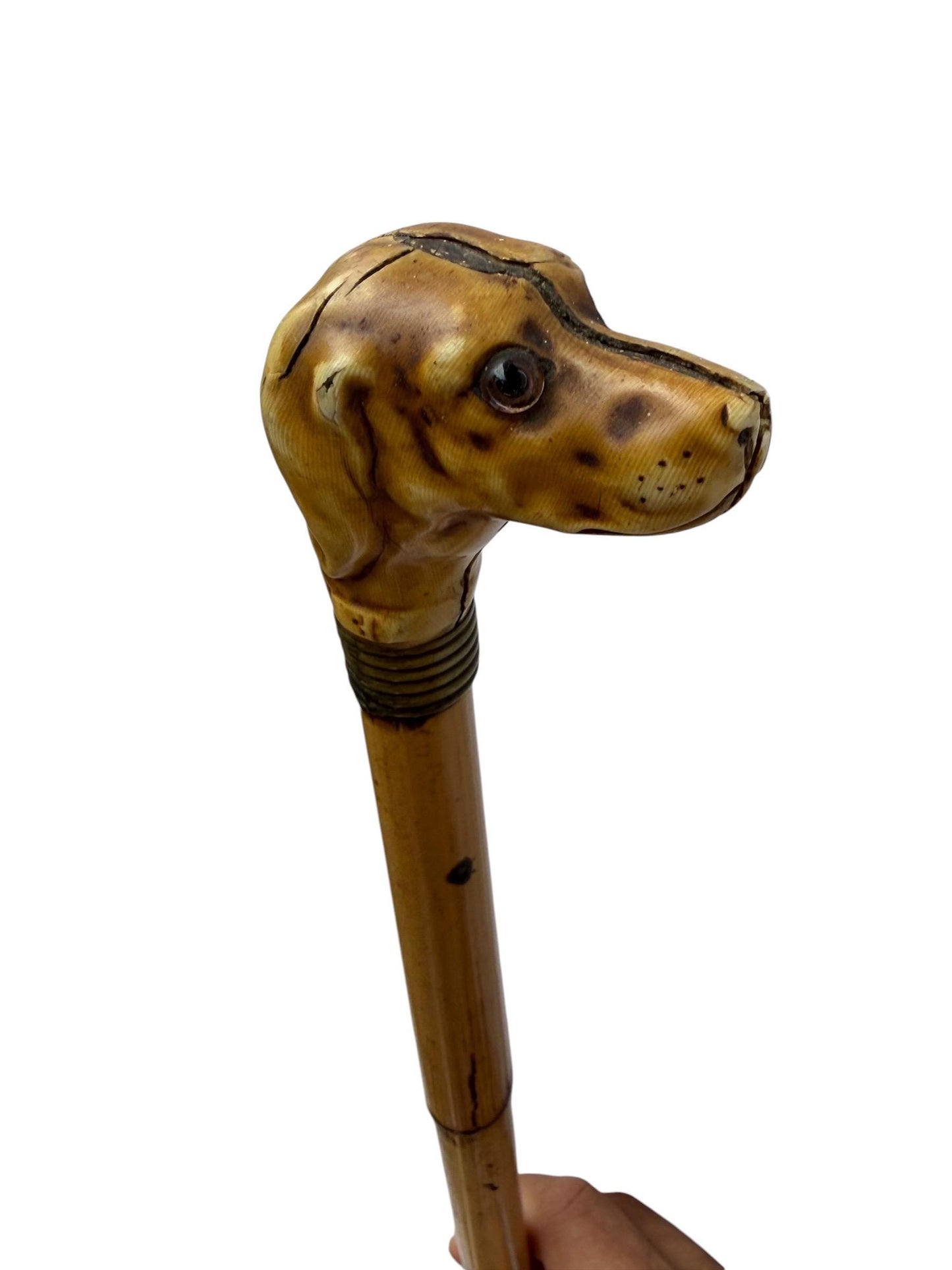 antique walking cane stick with dog , european collection, gentlemen's flannel stick.