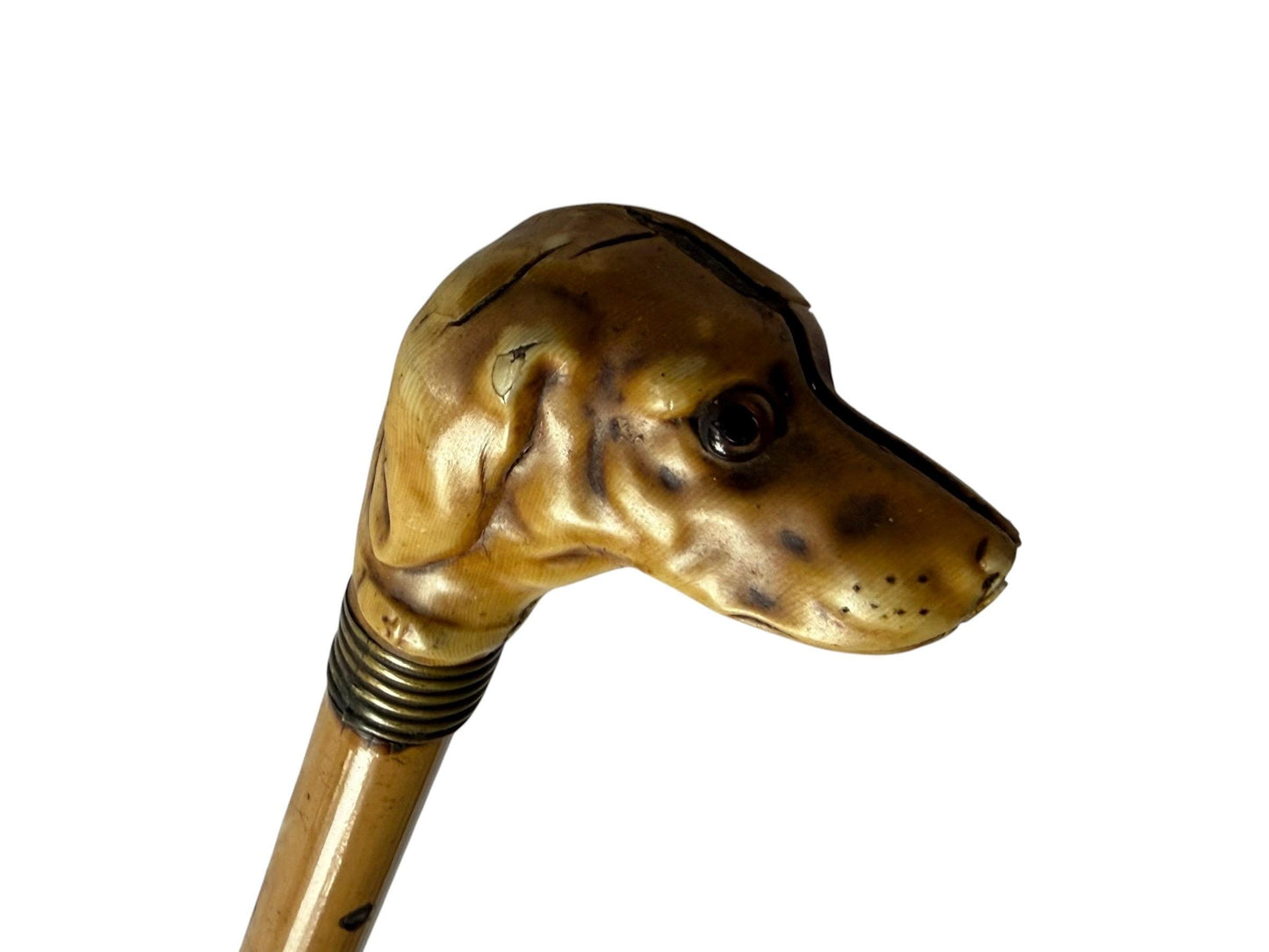 antique walking cane stick with dog , european collection, gentlemen's flannel stick.