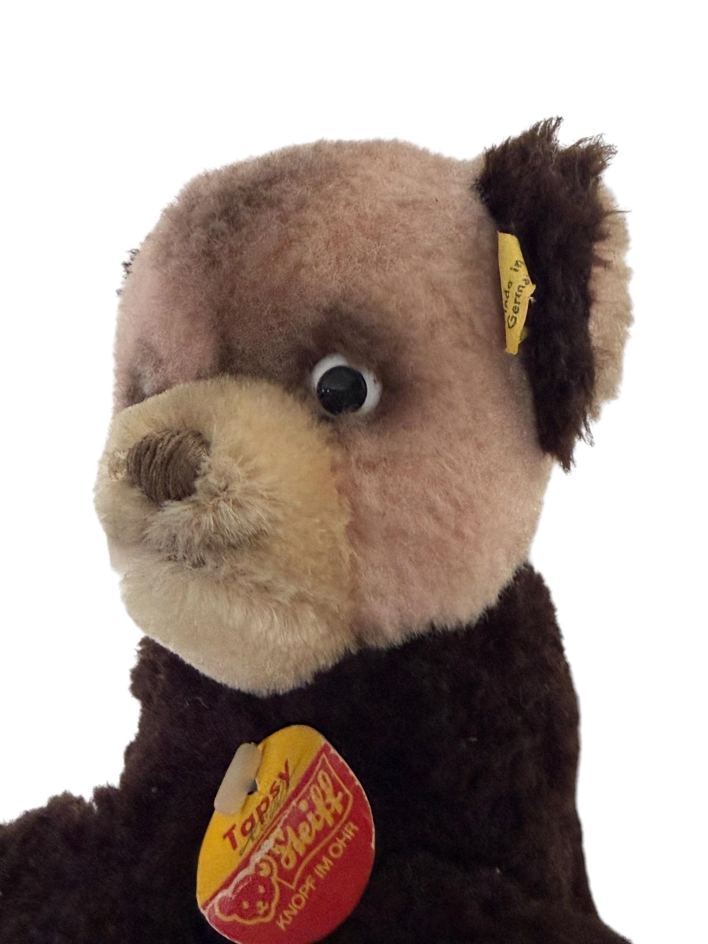 Steiff bear vintage, tapsy, old  beestje met label toy nr 6013.00 baby