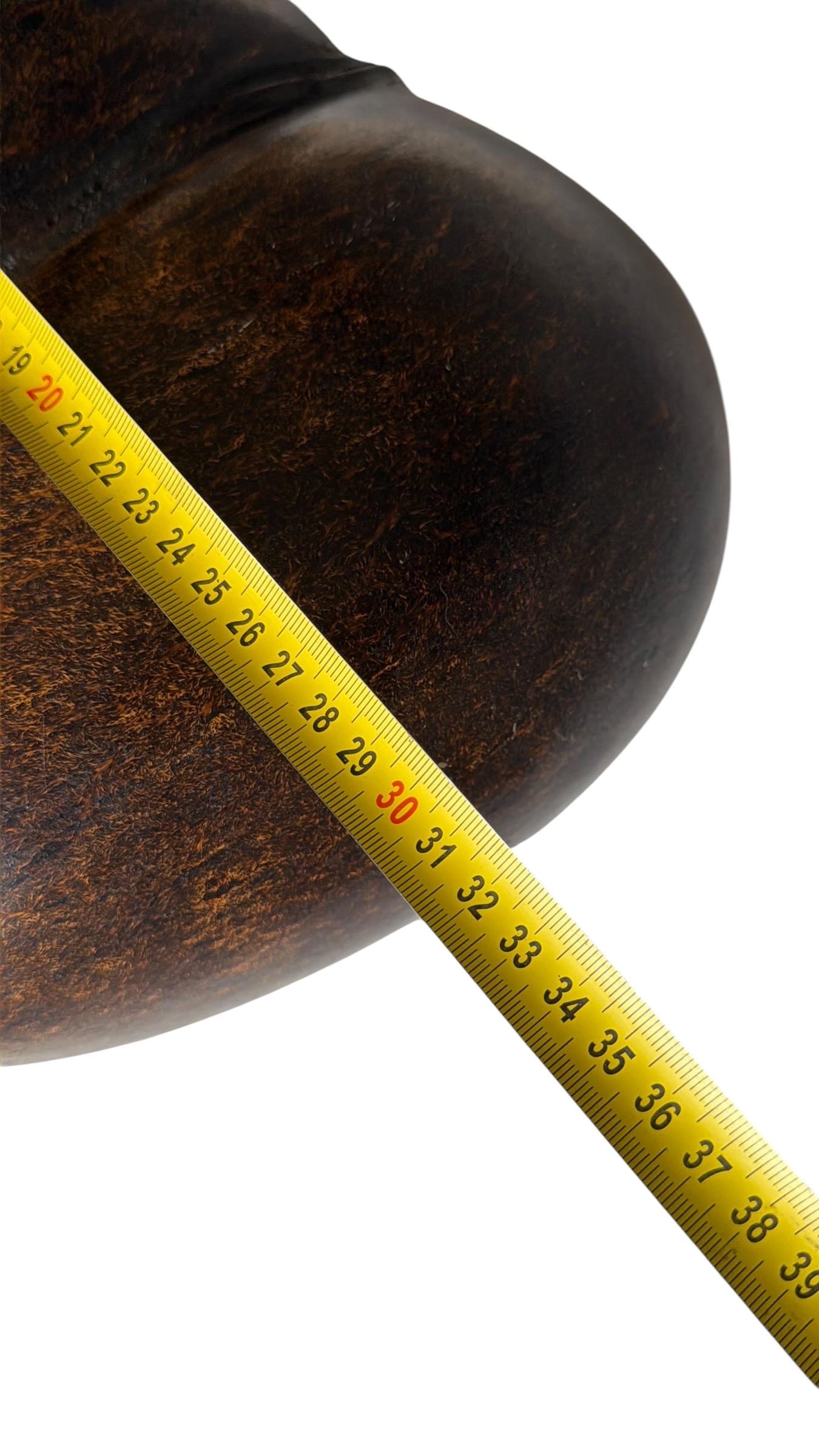 XL  Coco de Mer - Seychelles Double Coconut