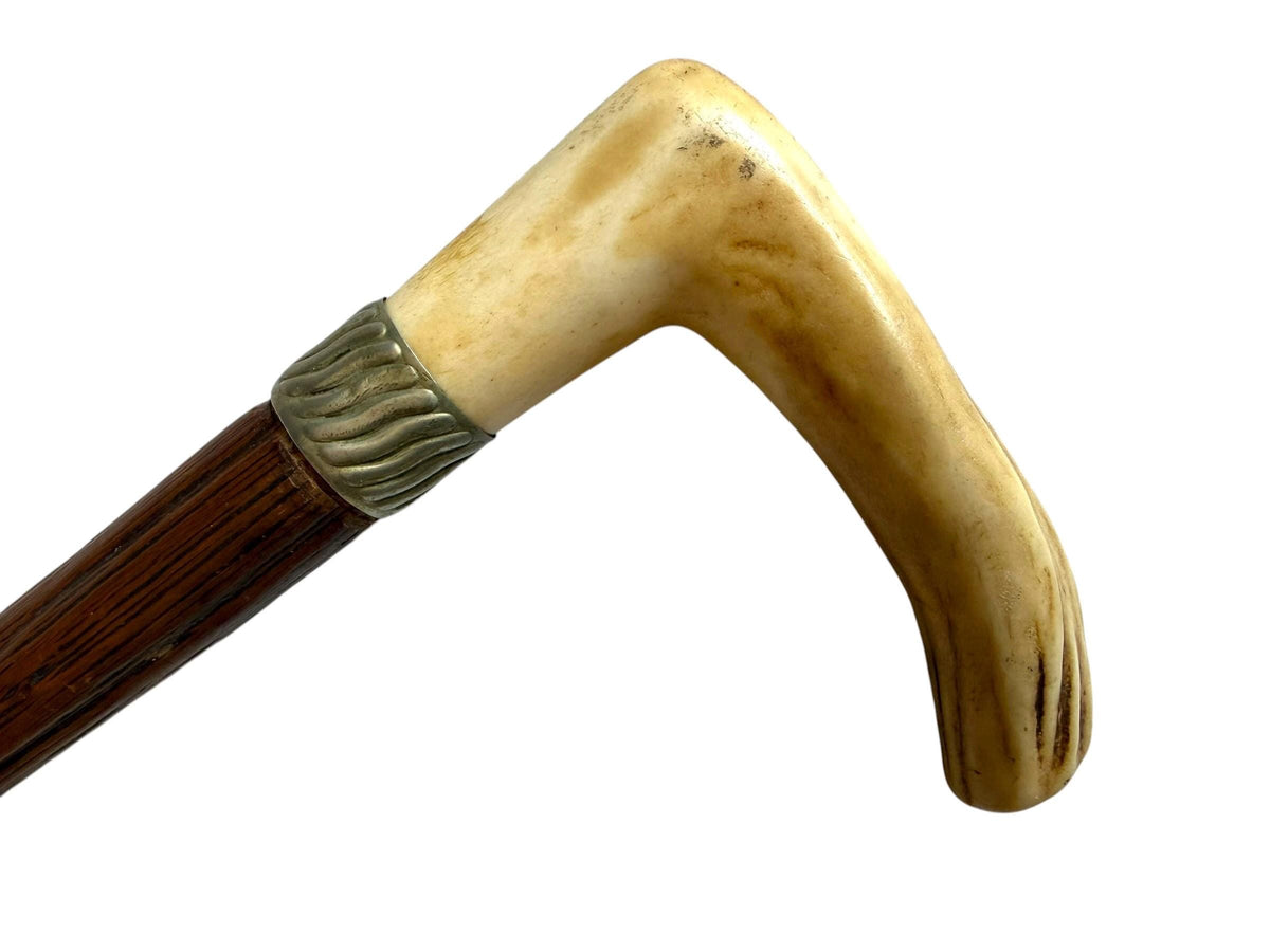 antique walking cane stick with cow , european collection, gentlemen's flannel stick. Wandelstok