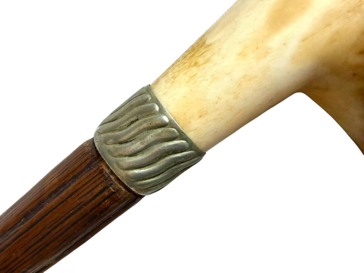 antique walking cane stick with cow , european collection, gentlemen's flannel stick. Wandelstok