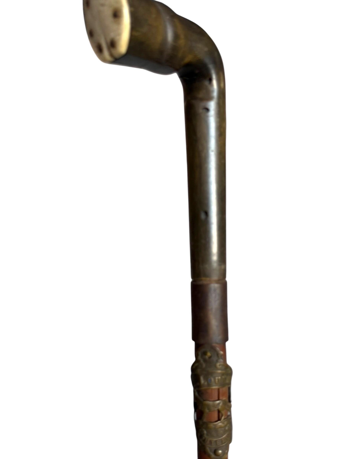 antique walking cane stick with cow , France, french european collection, gentlemen's flannel stick. Wandelstok