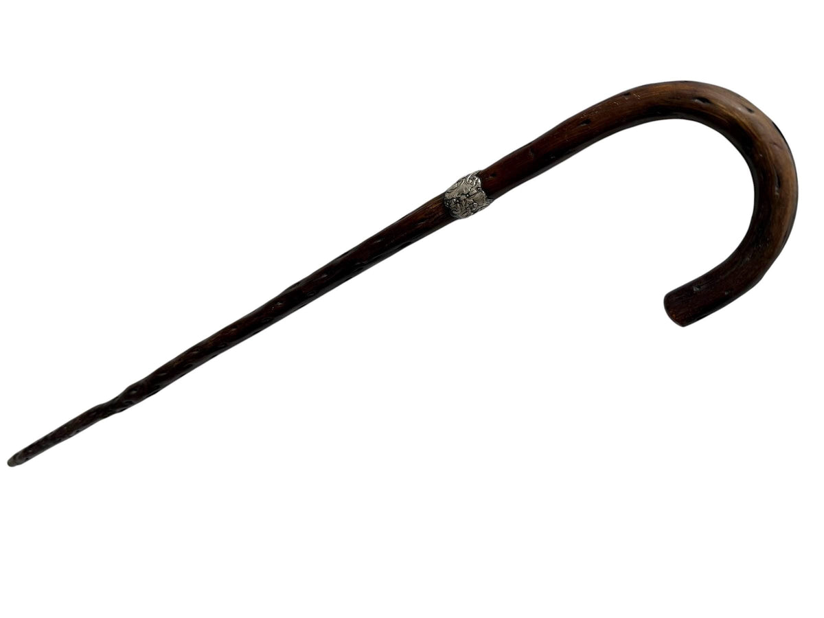 antique walking cane stick with  silver, european collection, gentlemen's flannel stick