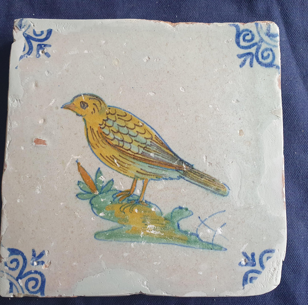 Delft tile depicting a colorful bird , around 1640.  Animaltile